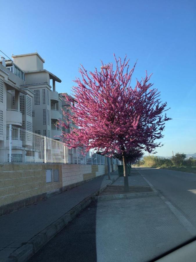 Playa Sol Apartment デニア エクステリア 写真